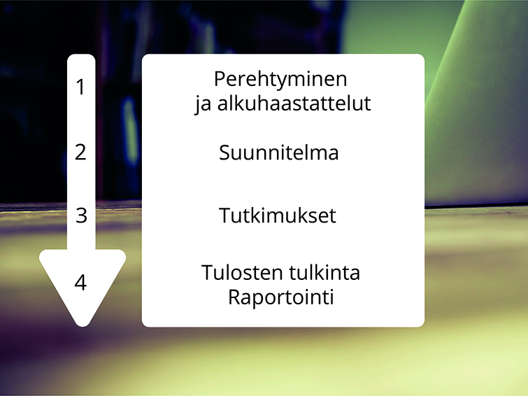 serrasorte-tutkimusprosessi